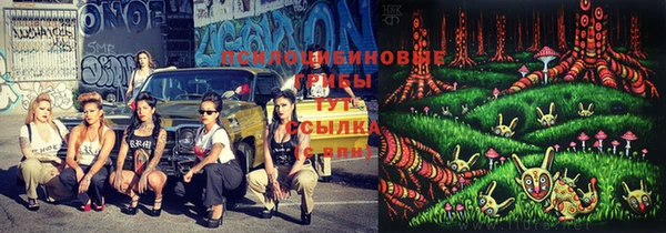 амфетамин Медвежьегорск