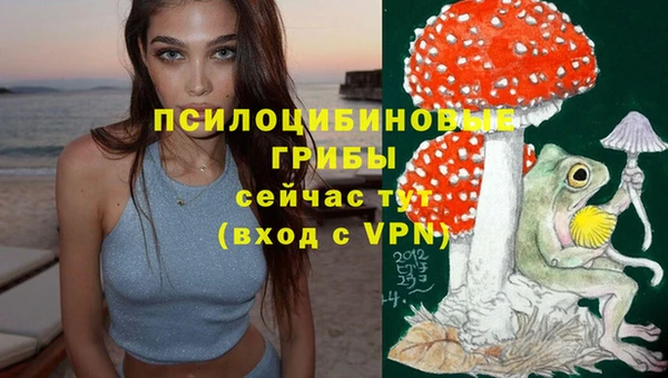 a pvp Михайловск
