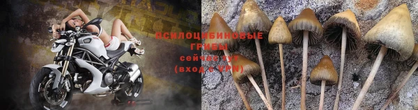 марки nbome Медногорск