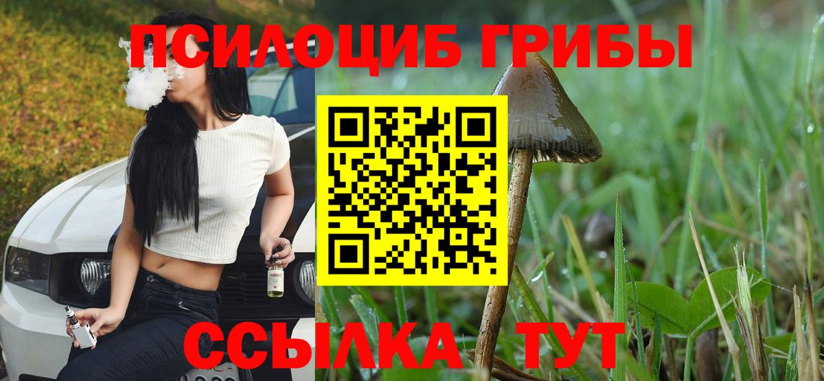 Галлюциногенные грибы Cubensis  Вход с VPN  Галлюциногенные грибы MAGIC MUSHROOMS  Златоуст 