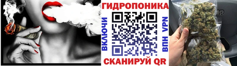 Шишки марихуана сатива  продажа наркотиков  Златоуст 